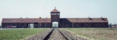 stiahnuť
