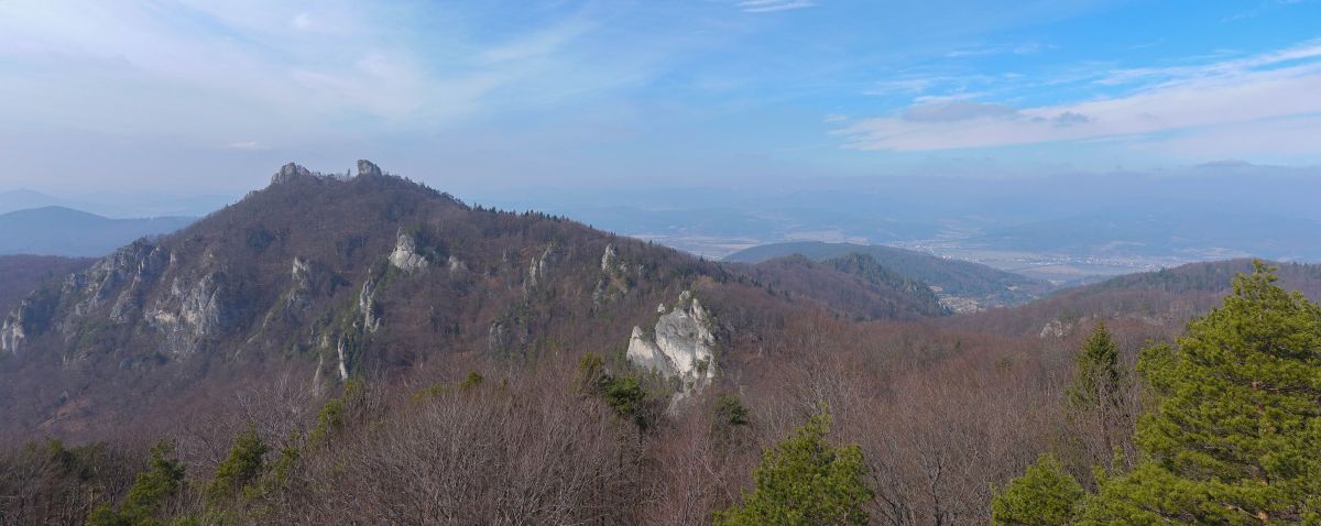 Suľov