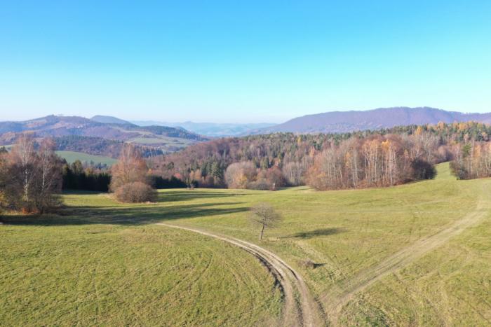 DJI0881
