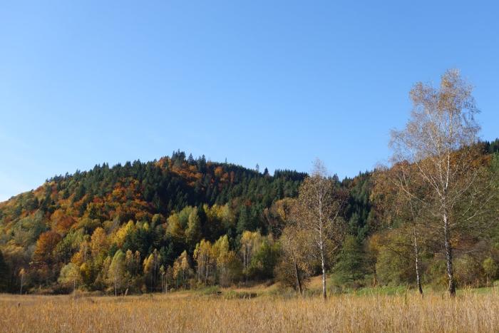 DSC00935