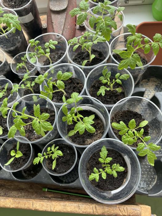 Messengercreation7EDE0772-48F9-4156-95C0-FCB980128933