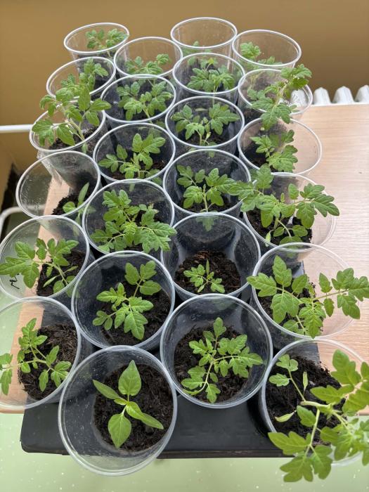 MessengercreationC224C899-FB15-4949-8F96-184C9C715B1C