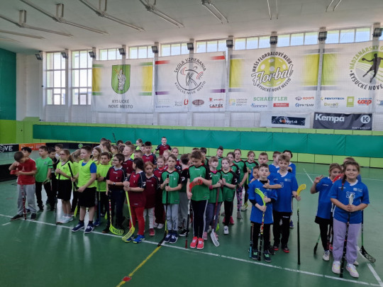 Miniflorbalová liga