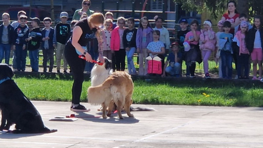  Svet psov, ktorý fascinuje malých aj veľkých