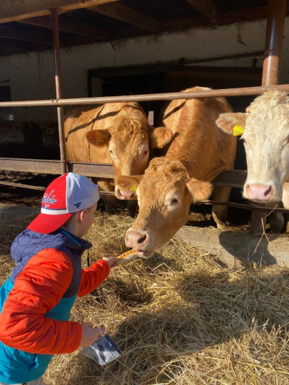 Druháci na farme